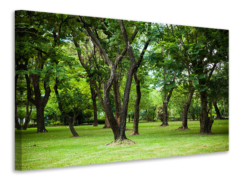 canvas-print-cherry-garden