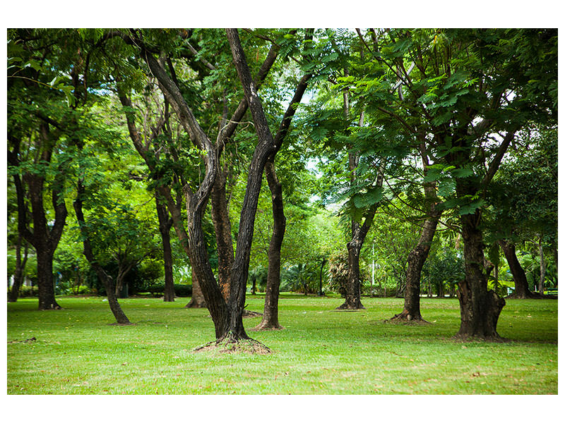 4-piece-canvas-print-cherry-garden