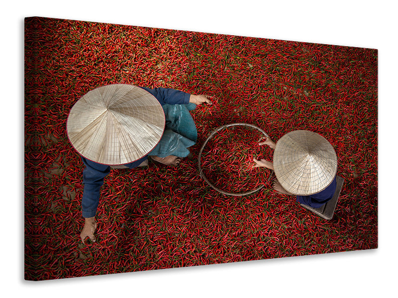 modern-3-piece-canvas-print-chilli
