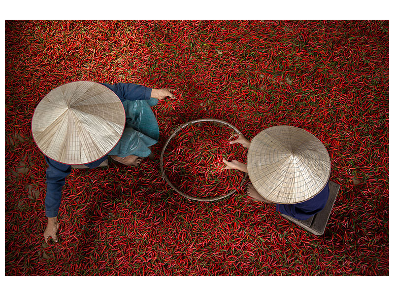 modern-3-piece-canvas-print-chilli