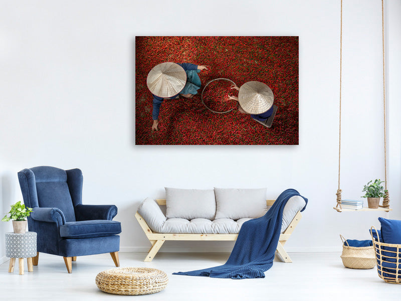 modern-3-piece-canvas-print-chilli