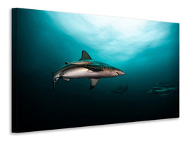 modern-4-piece-canvas-print-circling