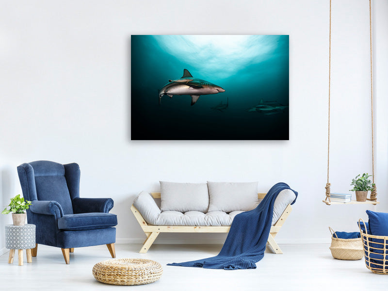 panoramic-3-piece-canvas-print-circling