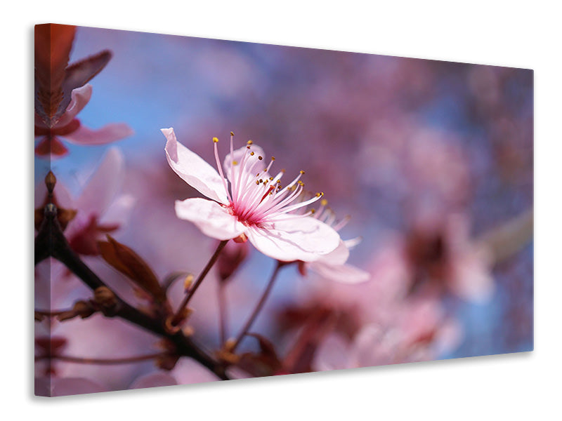 modern-3-piece-canvas-print-close-up-cherry-blossom