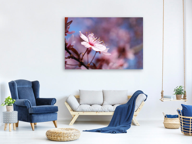 modern-3-piece-canvas-print-close-up-cherry-blossom