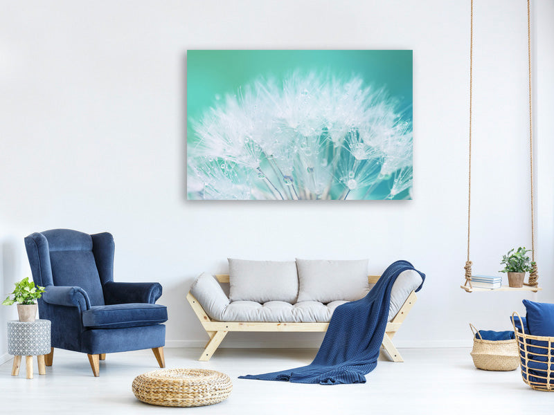 5-piece-canvas-print-close-up-dandelion-in-morning-dew