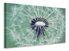 4-piece-canvas-print-close-up-dandelion