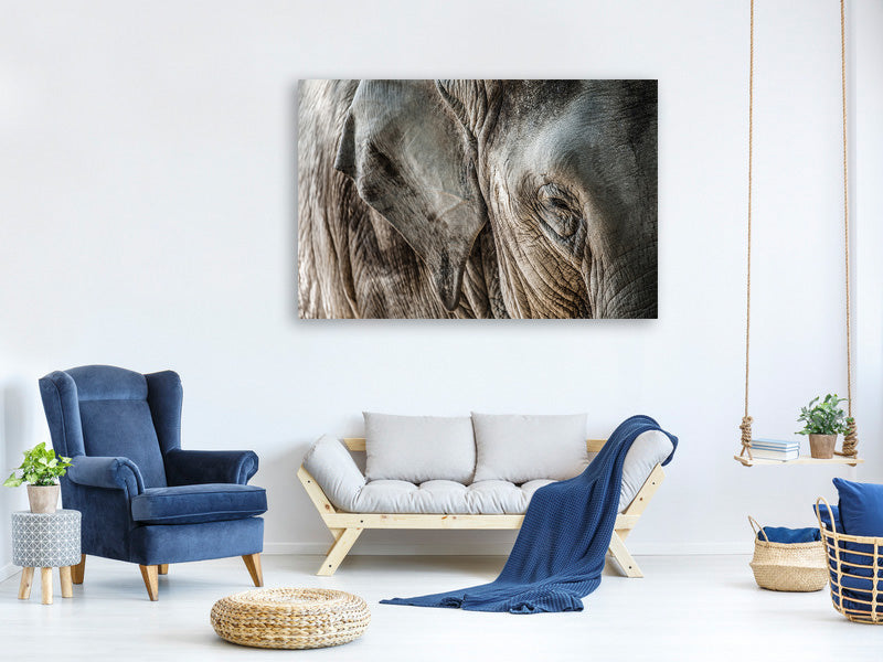4-piece-canvas-print-close-up-elephant
