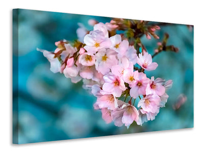 modern-3-piece-canvas-print-close-up-flower