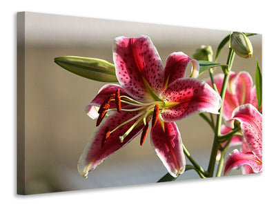 3-piece-canvas-print-close-up-lily-in-red