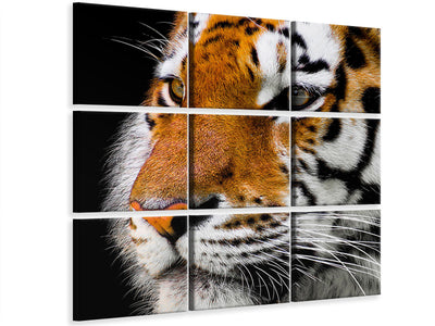 canvas-print-close-up-tiger-head