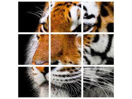 4-piece-canvas-print-close-up-tiger-head