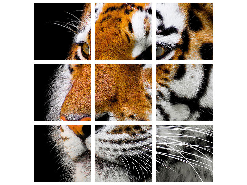 4-piece-canvas-print-close-up-tiger-head