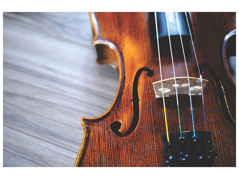 3-piece-canvas-print-close-up-violin-ii
