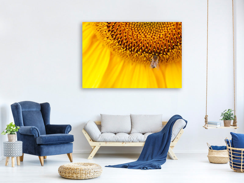 5-piece-canvas-print-close-up-yellow-bud