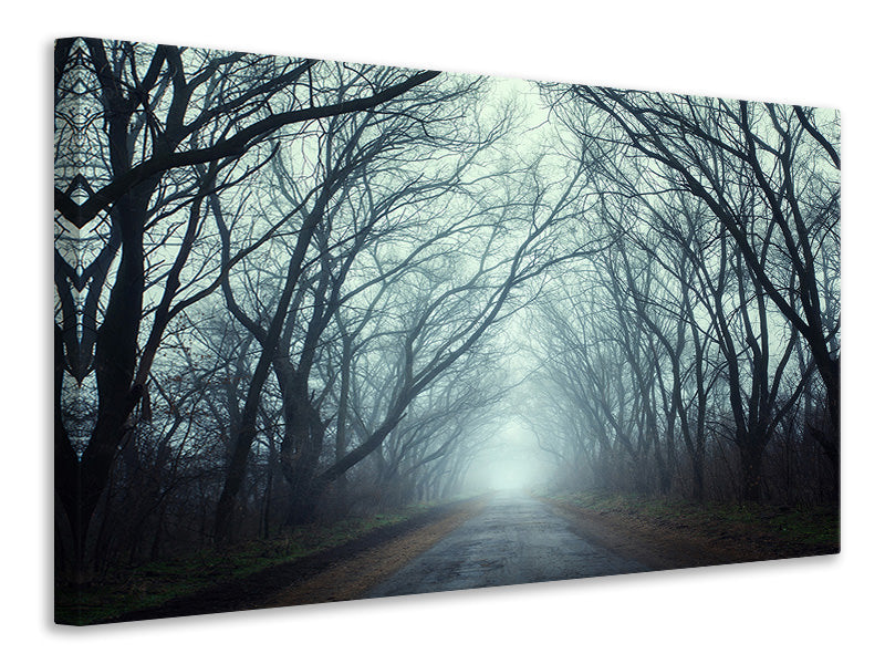 panoramic-3-piece-canvas-print-cloud-forest