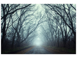 5-piece-canvas-print-cloud-forest