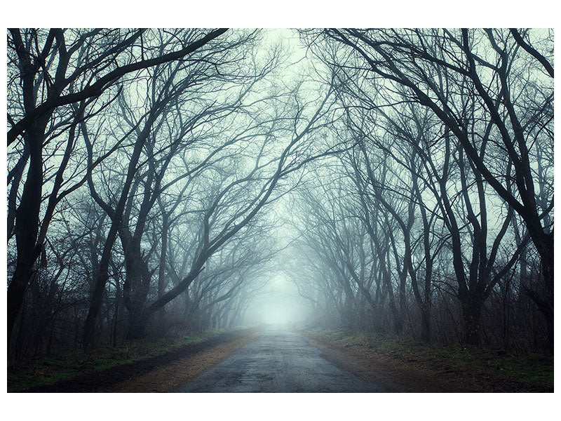 4-piece-canvas-print-cloud-forest