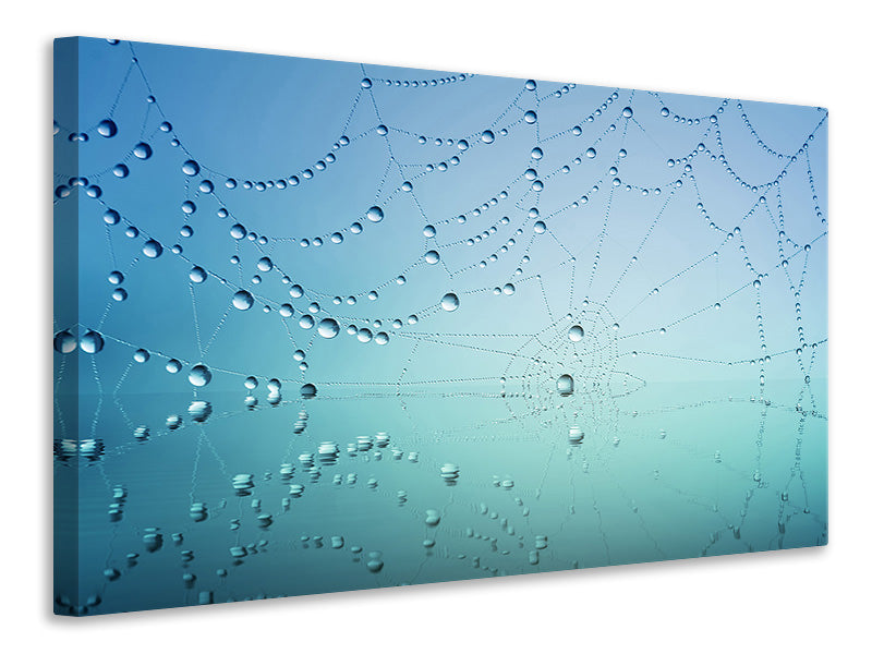 modern-4-piece-canvas-print-cobweb-in-morning-dew