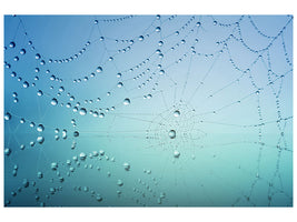 modern-3-piece-canvas-print-cobweb-in-morning-dew