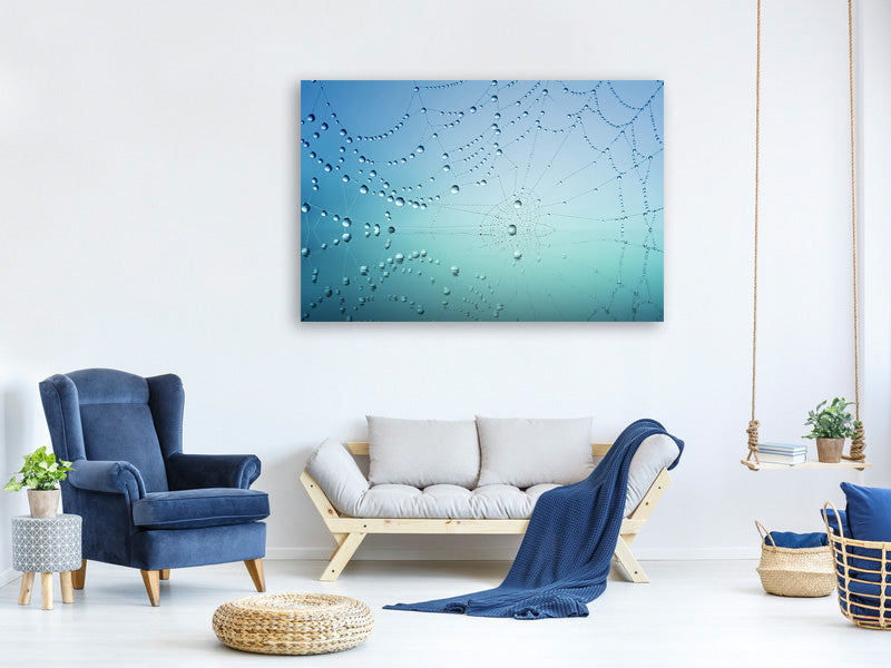 3-piece-canvas-print-cobweb-in-morning-dew