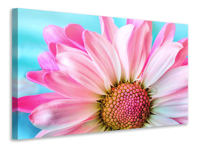 5-piece-canvas-print-colored-flower