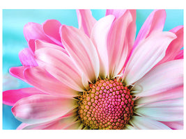 3-piece-canvas-print-colored-flower