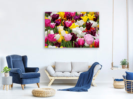 modern-3-piece-canvas-print-colorful-tulip-field