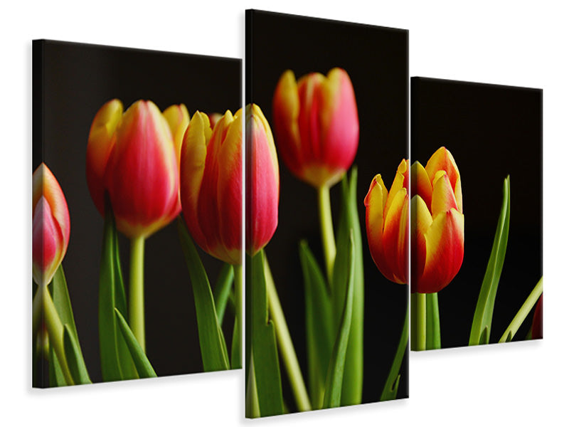 canvas-print-colorful-tulips