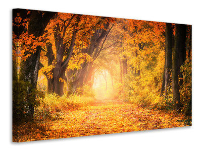 3-piece-canvas-print-colors-magnificent-forest