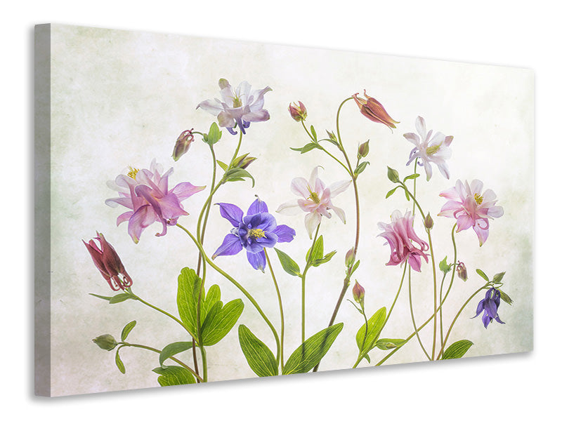 3-piece-canvas-print-columbine