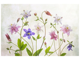 modern-4-piece-canvas-print-columbine