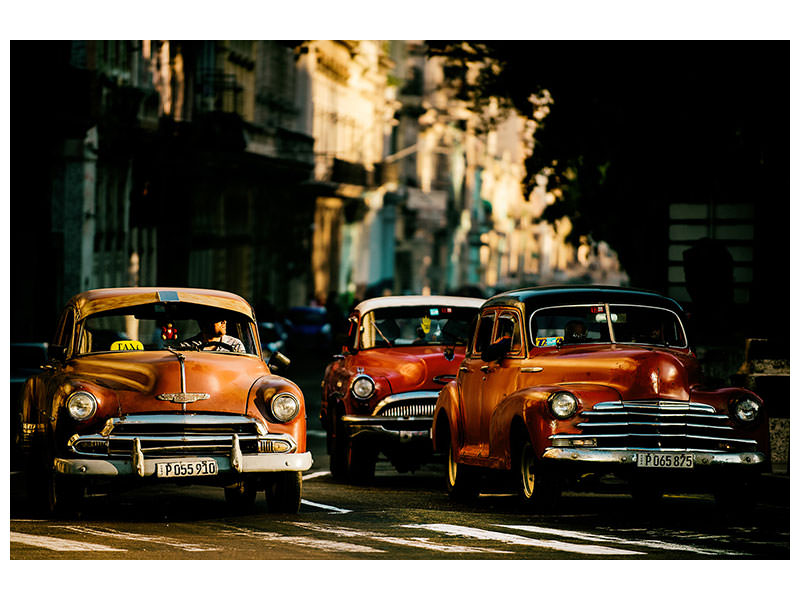 5-piece-canvas-print-come-with-me-in-the-morning-light