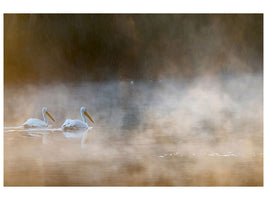 3-piece-canvas-print-companions