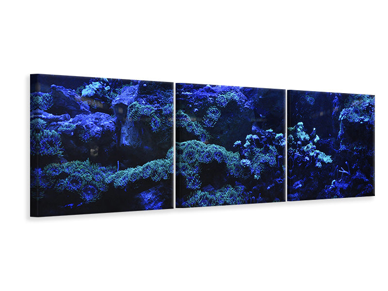 panoramic-canvas-print-coral-reef-in-blue