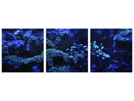 panoramic-canvas-print-coral-reef-in-blue