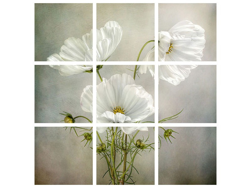 4-piece-canvas-print-cosmos-charm