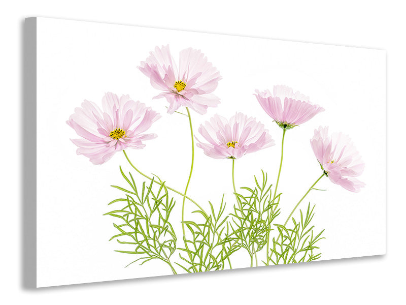 modern-3-piece-canvas-print-cosmos-cupcake