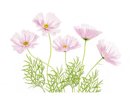 5-piece-canvas-print-cosmos-cupcake