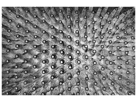 panoramic-3-piece-canvas-print-crowded