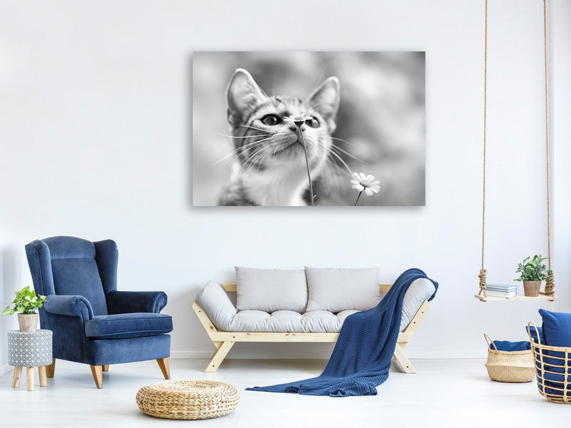 modern-3-piece-canvas-print-curious