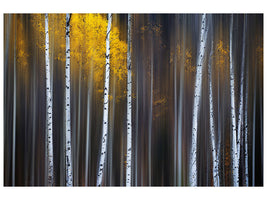 panoramic-3-piece-canvas-print-curtain-of-fall