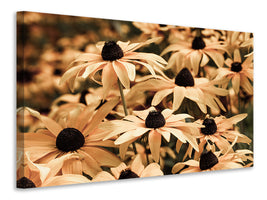 5-piece-canvas-print-daisies-in-sepia