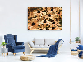 4-piece-canvas-print-daisies-in-sepia