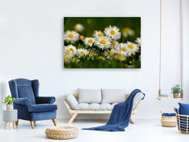 3-piece-canvas-print-daisies-xl-ii