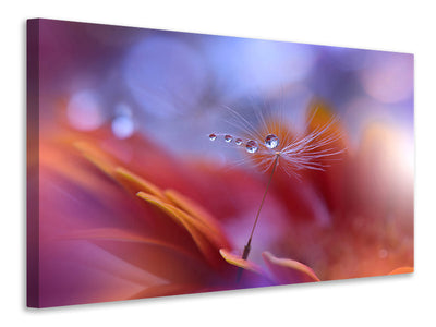 modern-4-piece-canvas-print-dance-in-the-light