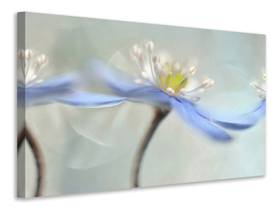 modern-3-piece-canvas-print-dancing-anemones