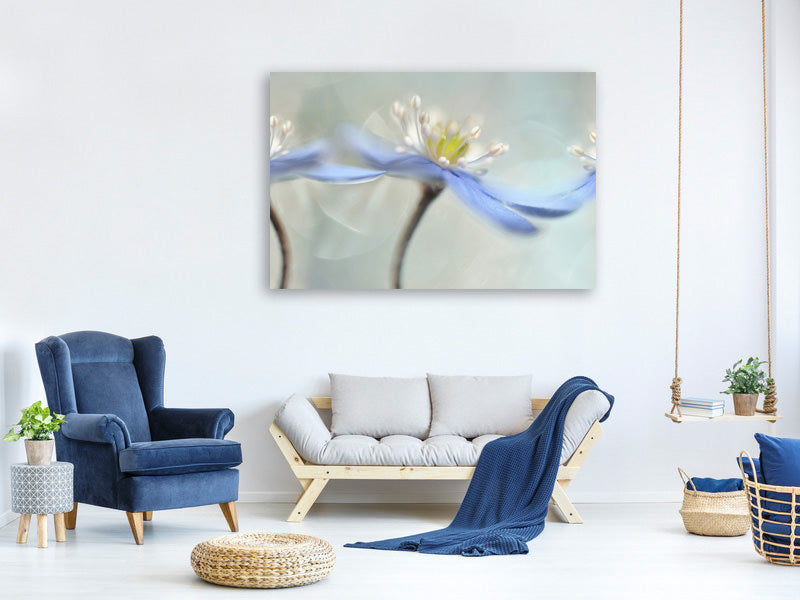 4-piece-canvas-print-dancing-anemones