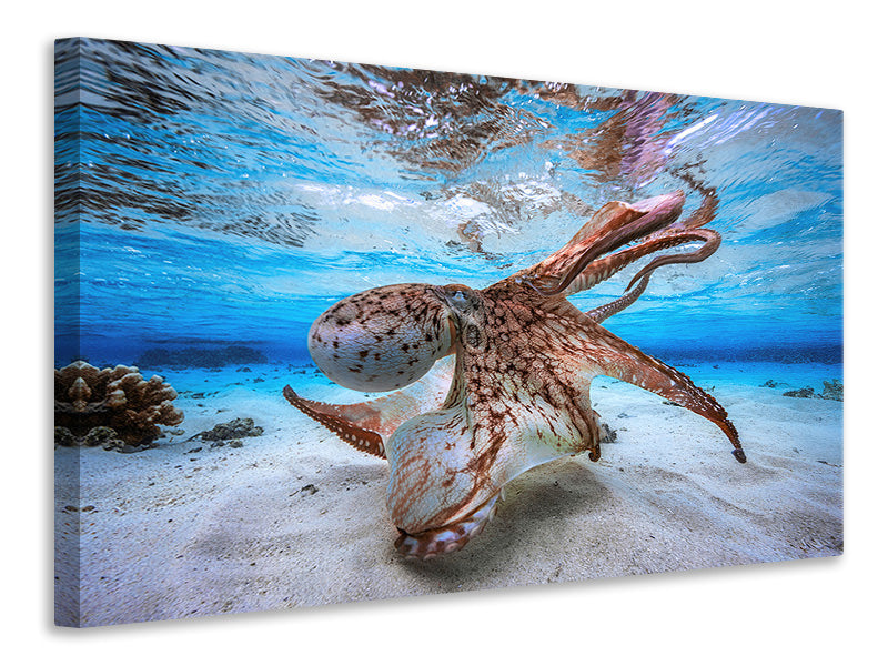 modern-3-piece-canvas-print-dancing-octopus