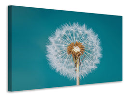 3-piece-canvas-print-dandelion-a